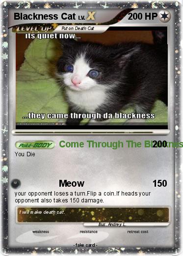 Pokemon Blackness Cat