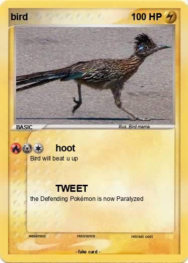 Pokemon bird