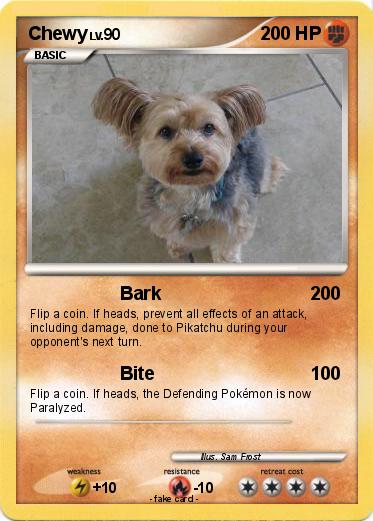 Pokemon Chewy