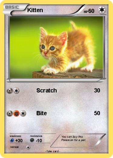 Pokemon Kitten