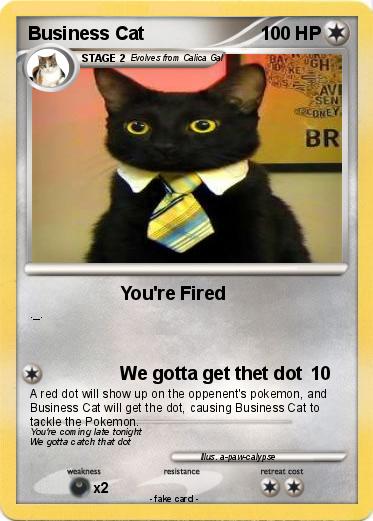 Pokemon Business Cat