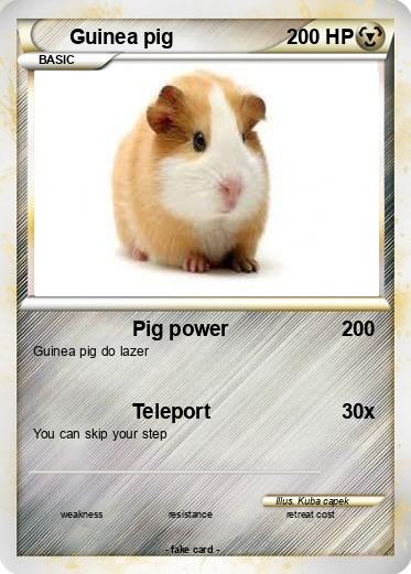 Pokemon Guinea pig