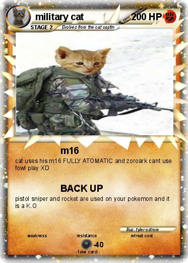 Pokemon military cat