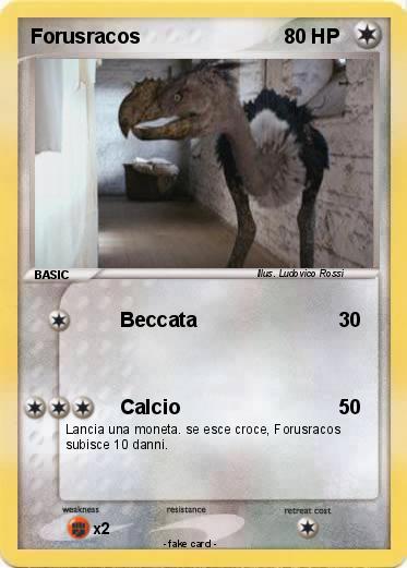 Pokemon Forusracos