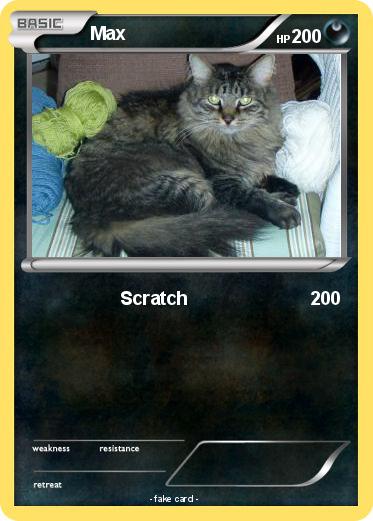 Pokemon Max