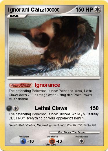 Pokemon Ignorant Cat