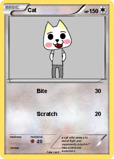 Pokemon Cat