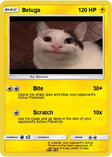 Pokemon Beluga