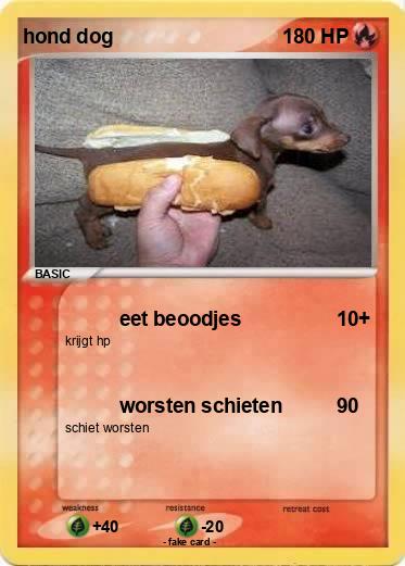 Pokemon hond dog