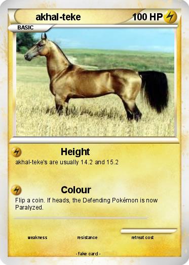 Pokemon akhal-teke