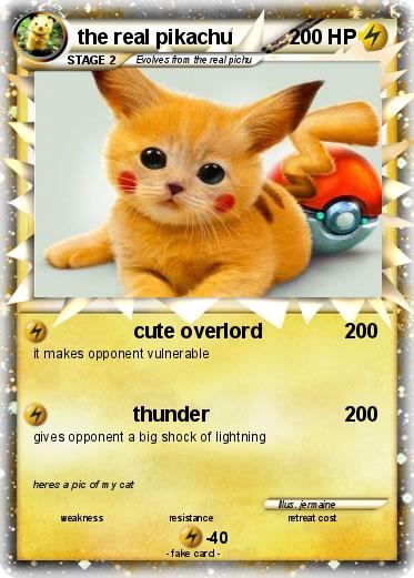 Pokemon the real pikachu