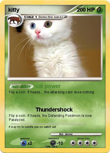 Pokemon kitty