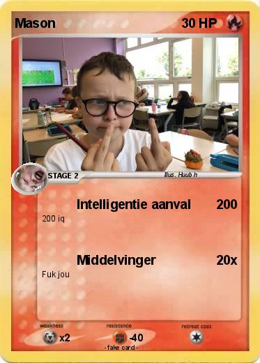 Pokemon Mason