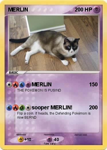 Pokemon MERLIN