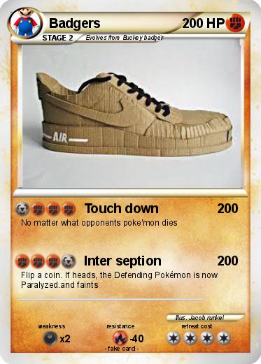 Pokemon Badgers