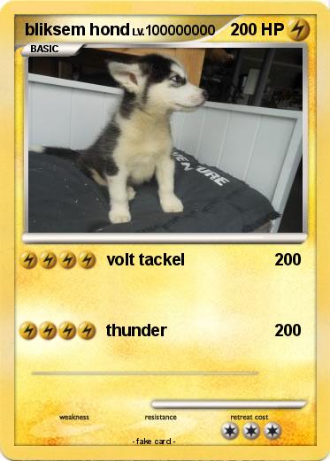Pokemon bliksem hond