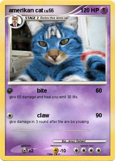 Pokemon amerikan cat