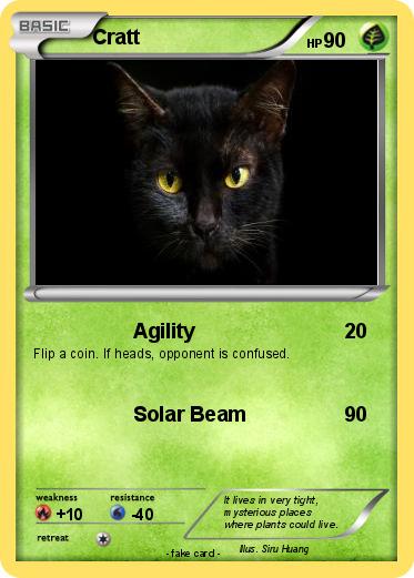 Pokemon Cratt