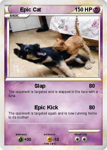 Pokemon Epic Cat