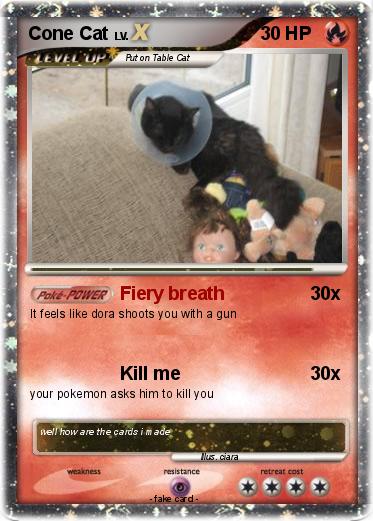 Pokemon Cone Cat
