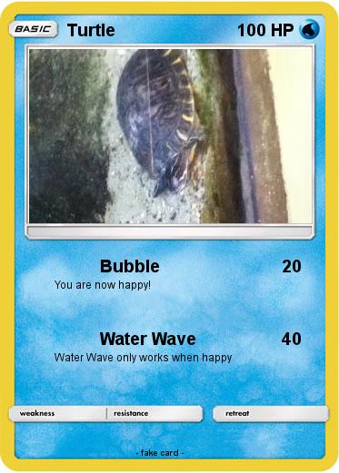 Pokemon Turtle