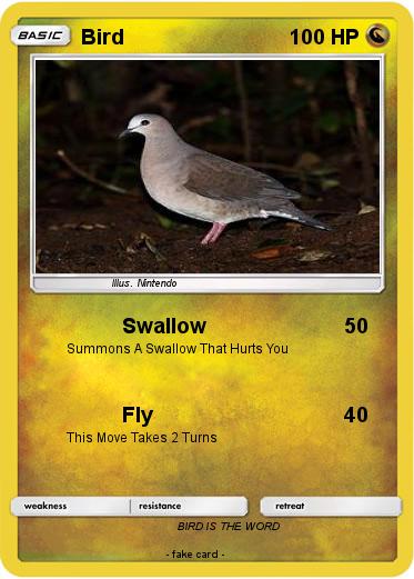 Pokemon Bird