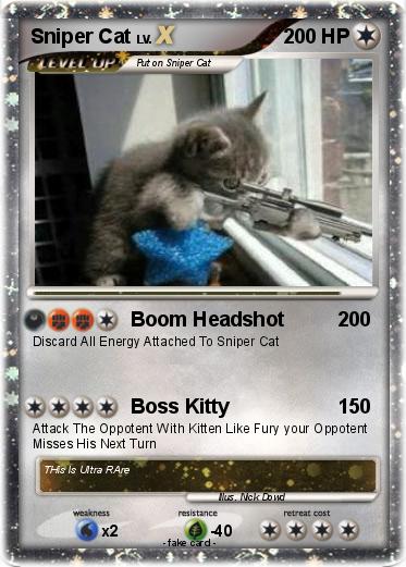 Pokemon Sniper Cat