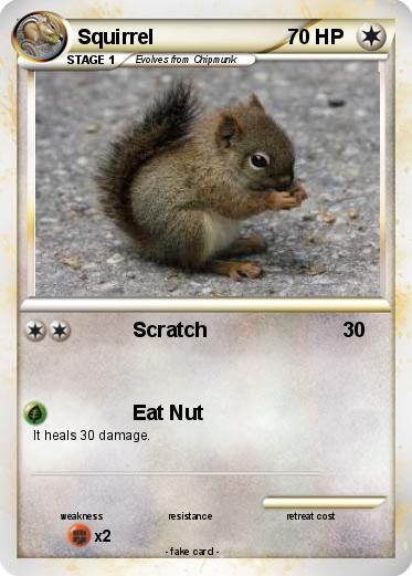 Pokemon Squirrel