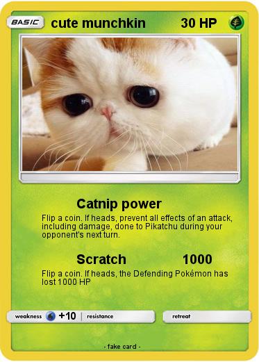 Pokemon cute munchkin