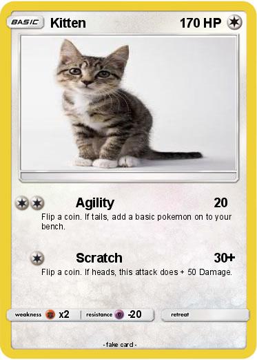Pokemon Kitten