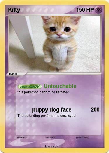 Pokemon Kitty