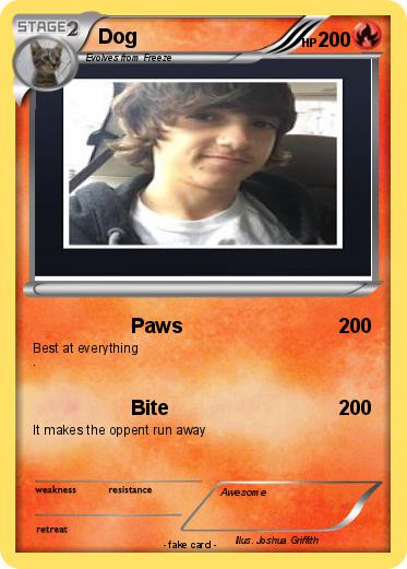 Pokemon Dog