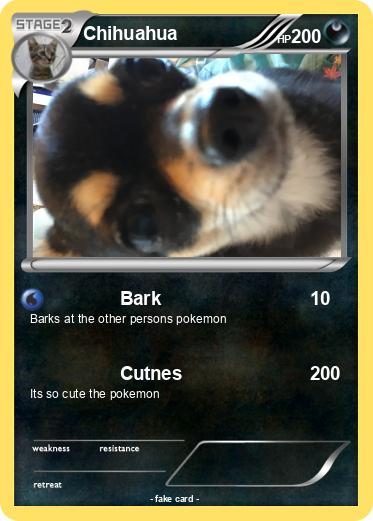 Pokemon Chihuahua