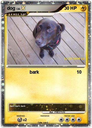 Pokemon dog