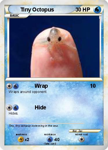 Pokemon Tiny Octopus