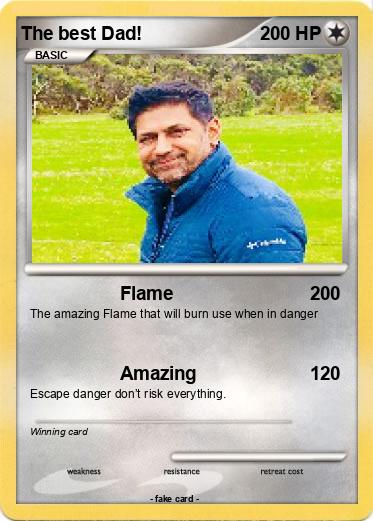 Pokemon The best Dad!