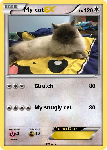 Pokemon My cat
