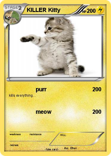 Pokemon KILLER Kitty