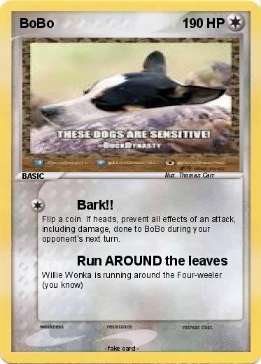 Pokemon BoBo