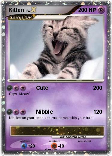 Pokemon Kitten