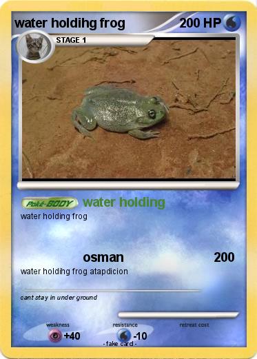 Pokemon water holdihg frog