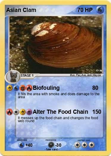 Pokemon Asian Clam