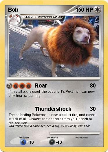 Pokemon Bob