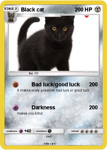 Pokemon Black cat