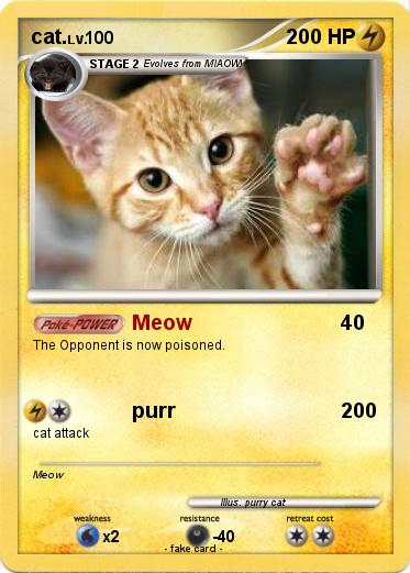 Pokemon cat.