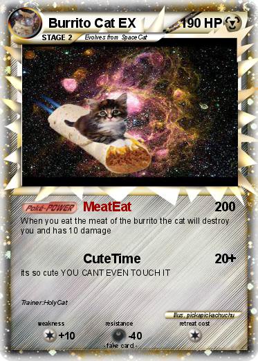 Pokemon Burrito Cat EX