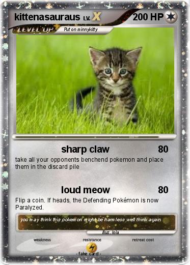 Pokemon kittenasauraus