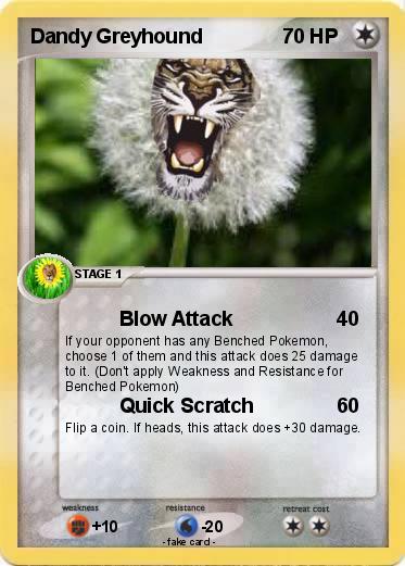 Pokemon Dandy Greyhound