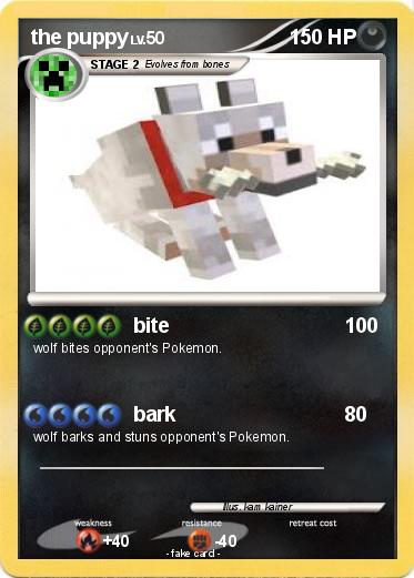 Pokemon the puppy