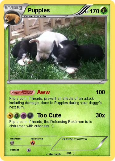 Pokemon Puppies